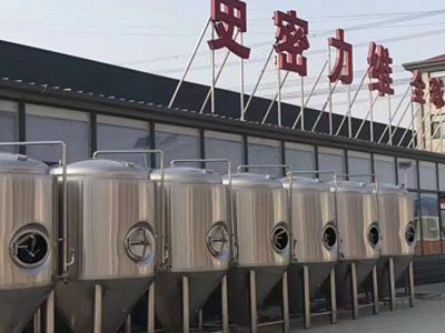 朗县精酿啤酒设备厂—市场规模与跨界新需求